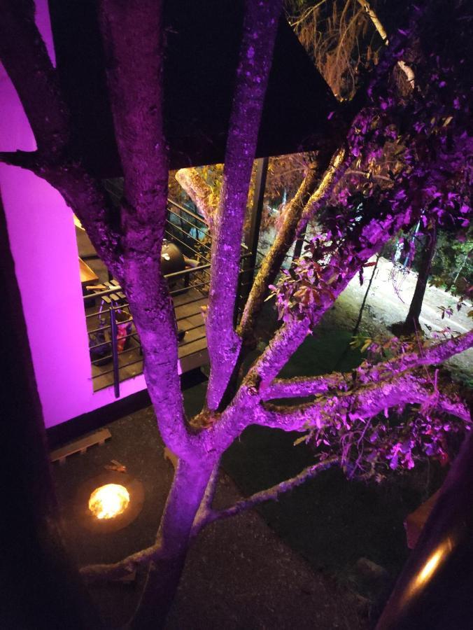 Cabanas San Marcos Mazamitla Bagian luar foto